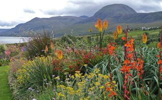 Close up of a section of the garden at 2, Durnamuck in Ross and Cromarty, Scotland with Little Loch Broom and the mountains in the background.