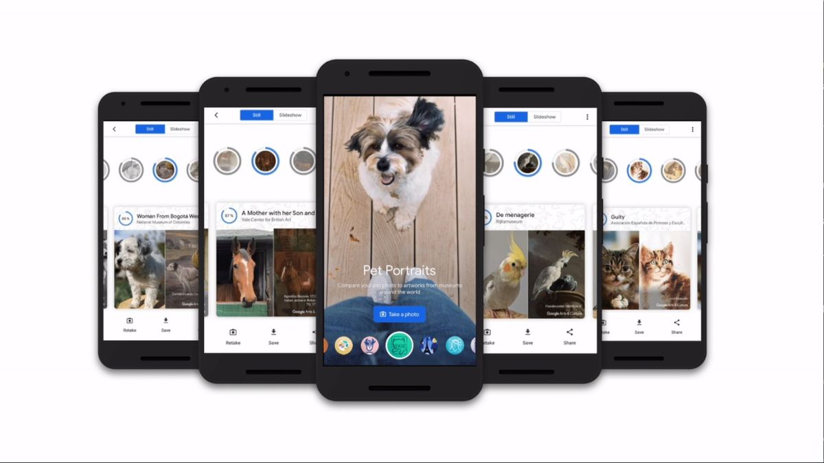 Examples from Google Arts and Culture Pet Portraits mode