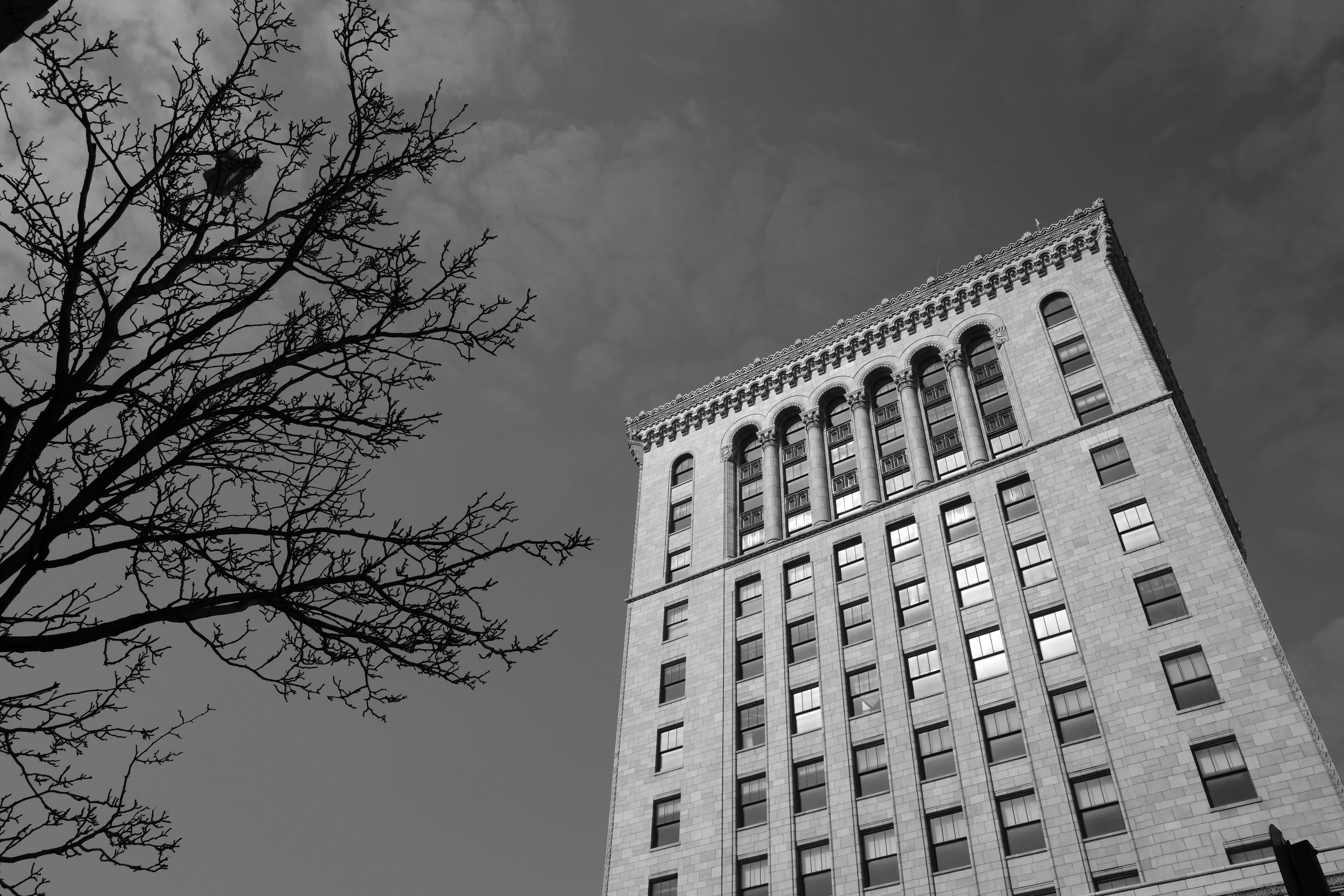 A sample image taken with the Ricoh GR IV Monochrome