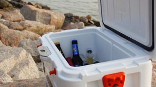 Reasons you need a camping cooler: Bottles in an open cooler