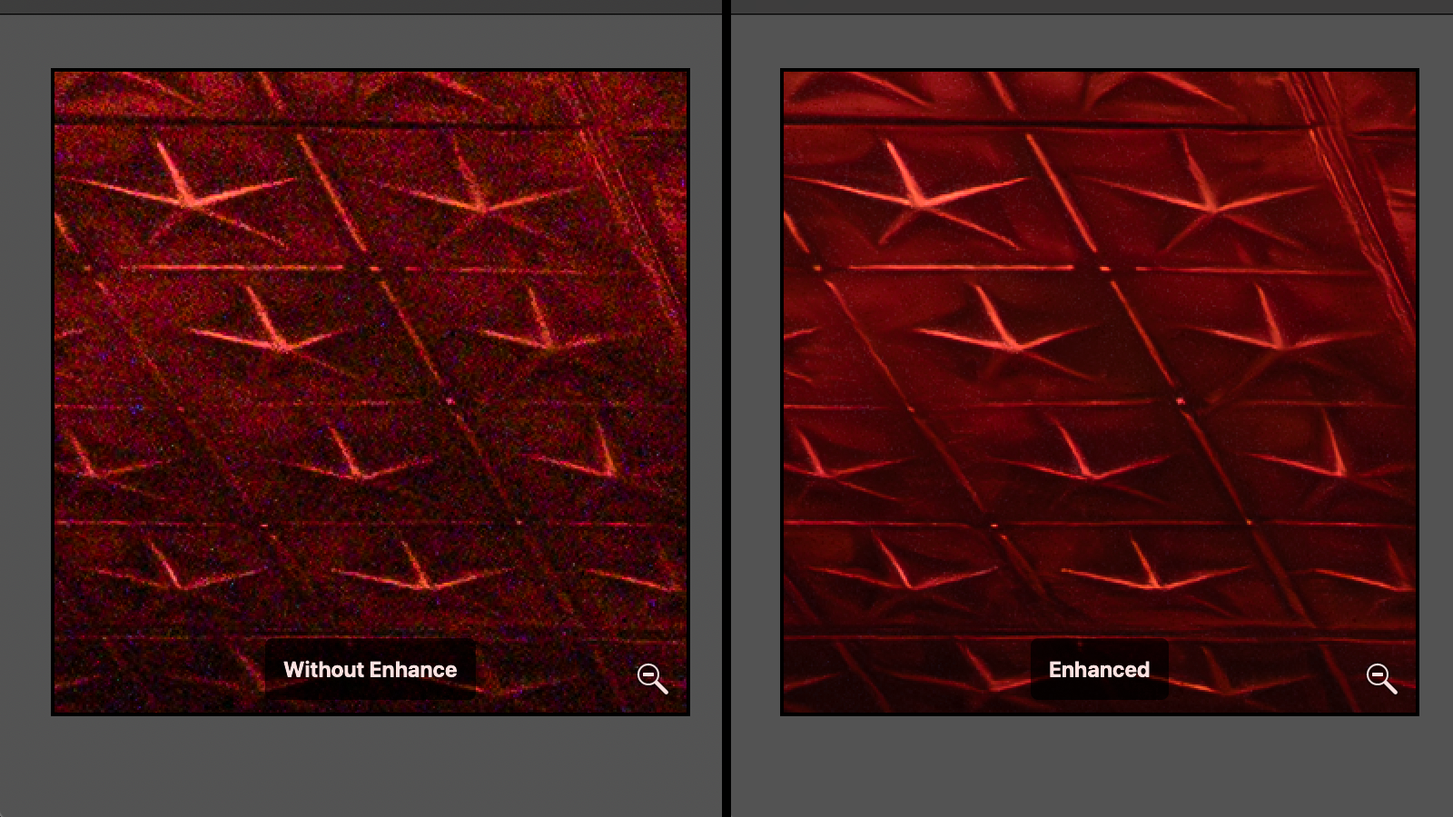 Side-by-side comparison showing the effect of the Denoise tool in Adobe Camera Raw