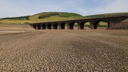 Dried-up reservoir bed