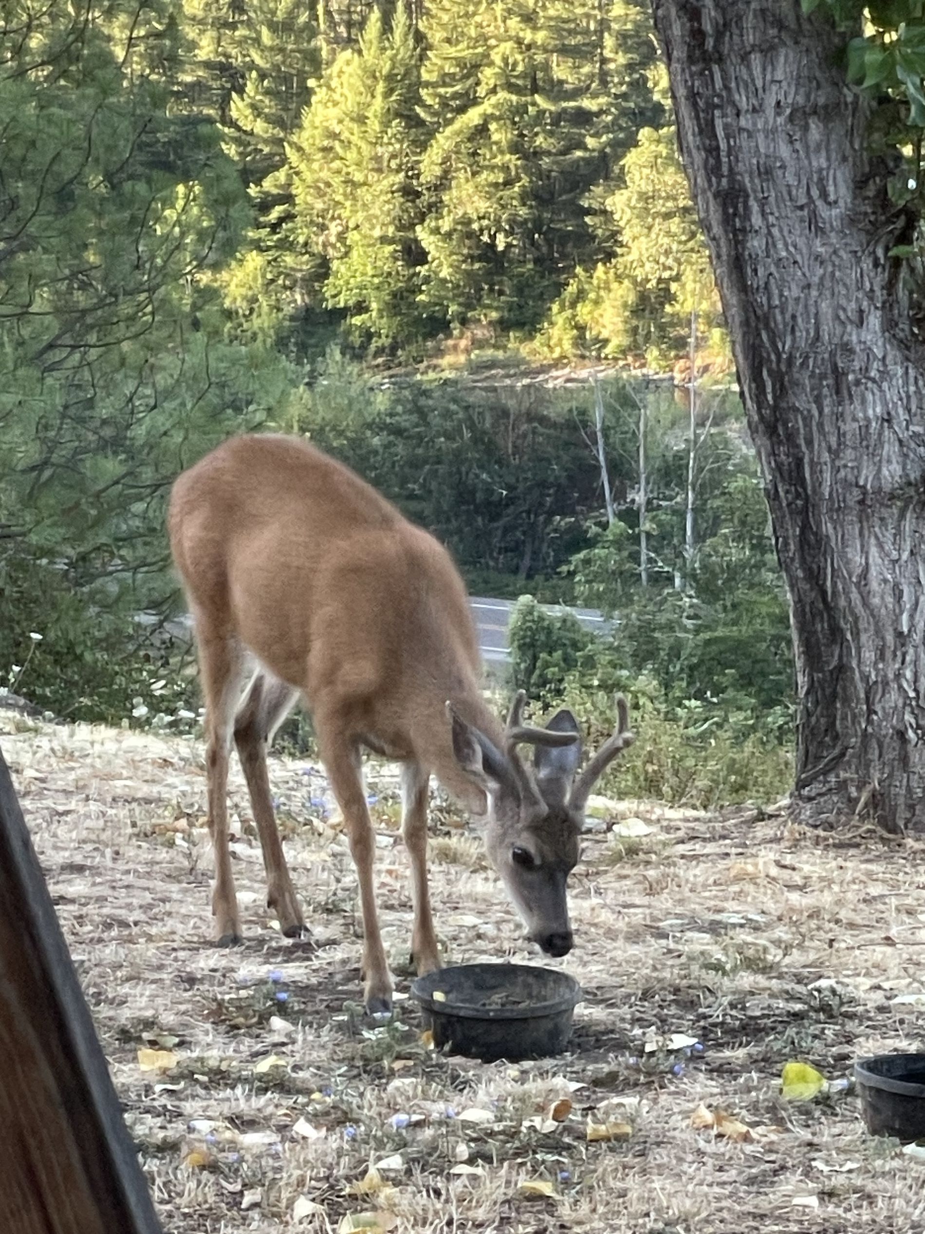 GuruShots - Nature&rsquo;s Masterpiece 2026