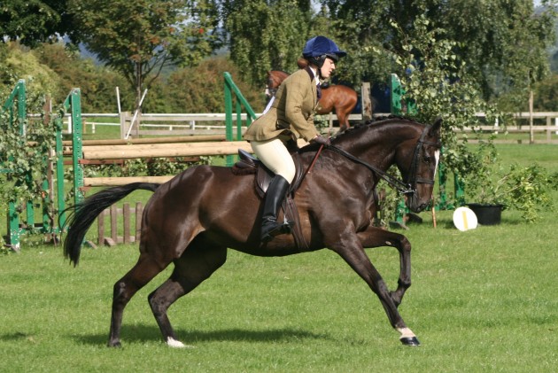 Celtic Boy Ror
