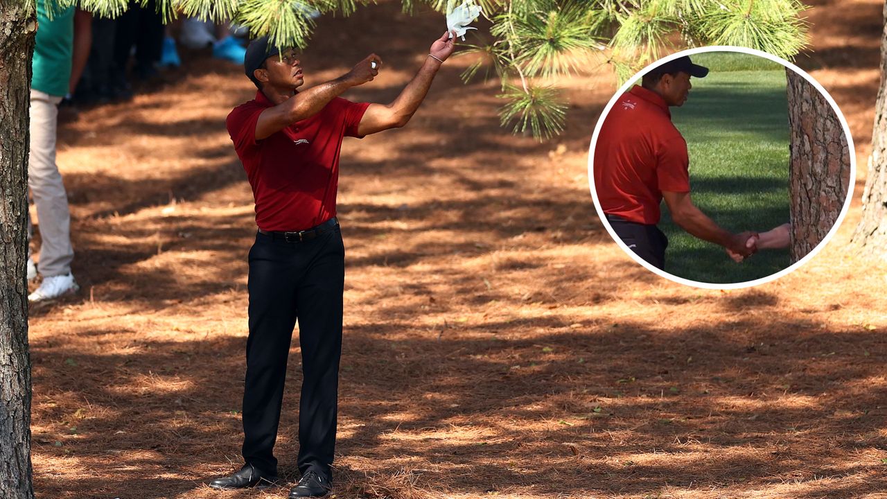 The Internet&#039;s Best Reactions To Tiger Woods Appearing To Shake Hands With A Tree