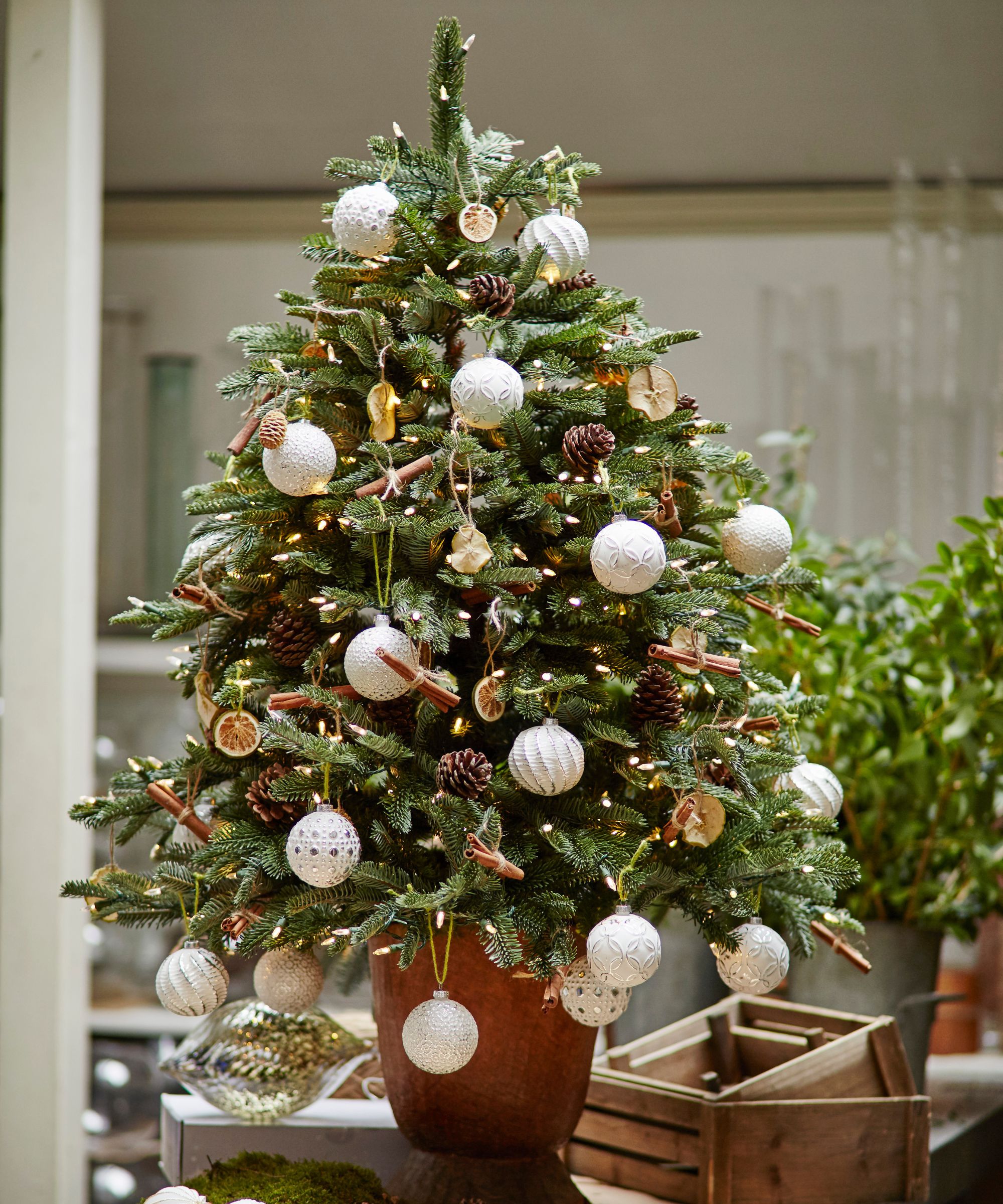 A Small Christmas tree with white ornaments, cinnamon sticks and dried orange rounds,
