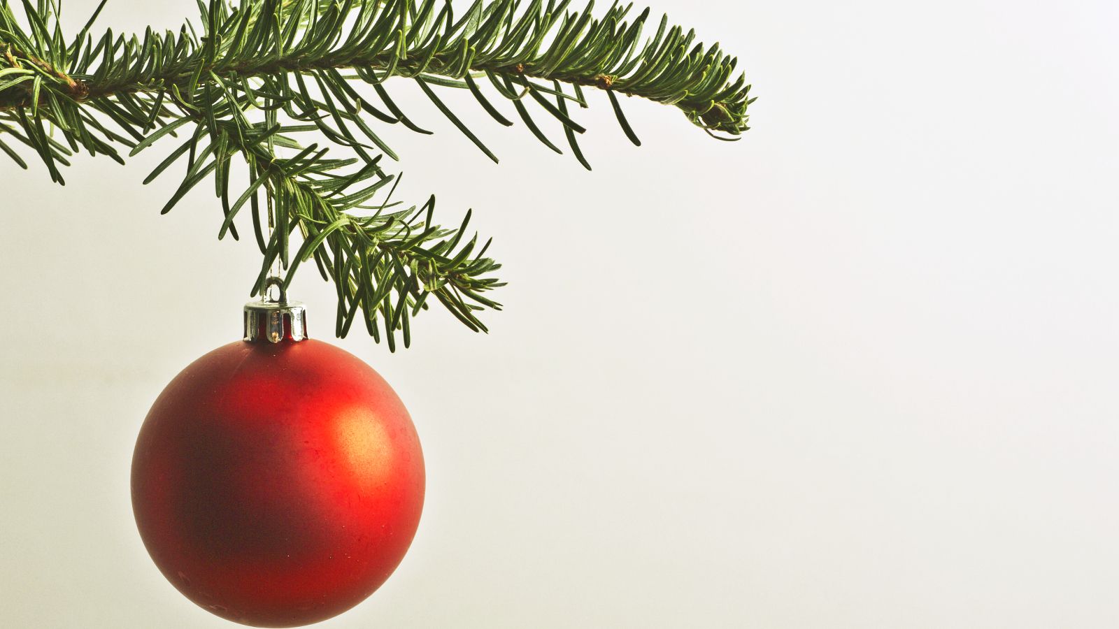 Bauble on a Christmas tree
