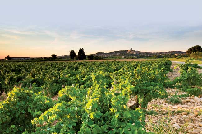 Ch&acirc;teauneuf-du-Pape