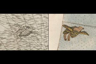 This winged turtle that Urbano Monte drew in the Atlantic Ocean of his 1587 map (right) is likely a copy from Michele Tramezzino's 1558 map (left).