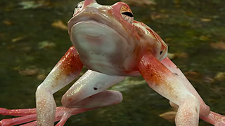 The Addled Frog from Baldur's Gate 3, a creature who can completely decimate your party if unprepared, despite just looking like a normal frog.