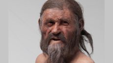 A reconstruction of a man with long hair and a gray beard looking at the camera.