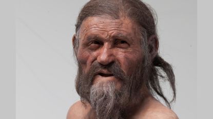 A reconstruction of a man with long hair and a gray beard looking at the camera.