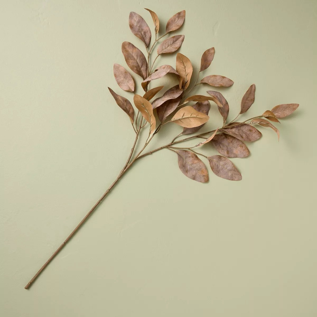 Rusted Eucalyptus Fall Stem – Hearth & Hand™ with Magnolia