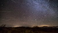 Meteors are pictured swarming through a starry sky above a grassy plain.