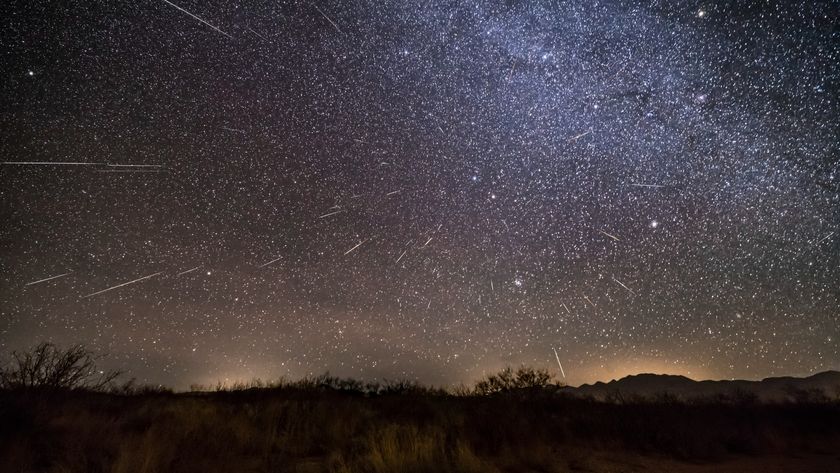 Meteors are pictured swarming through a starry sky above a grassy plain.
