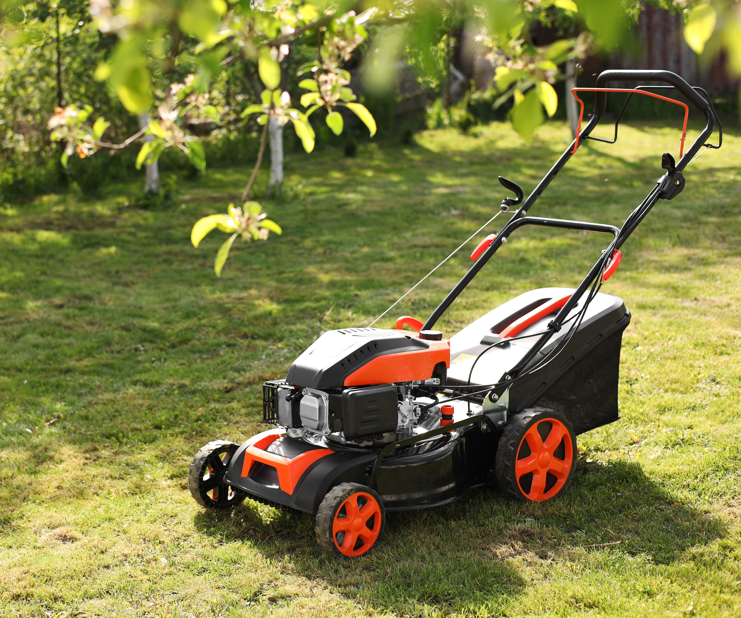 red lawn mower on lawn under tree in dappled sunlight