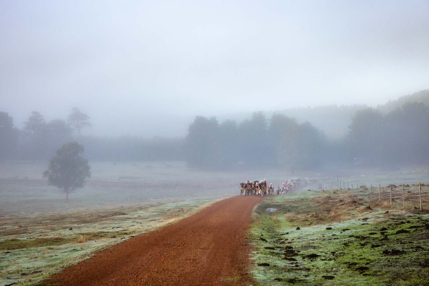 The SEVEN Gravel Race in Nannup Western Australia in 2024