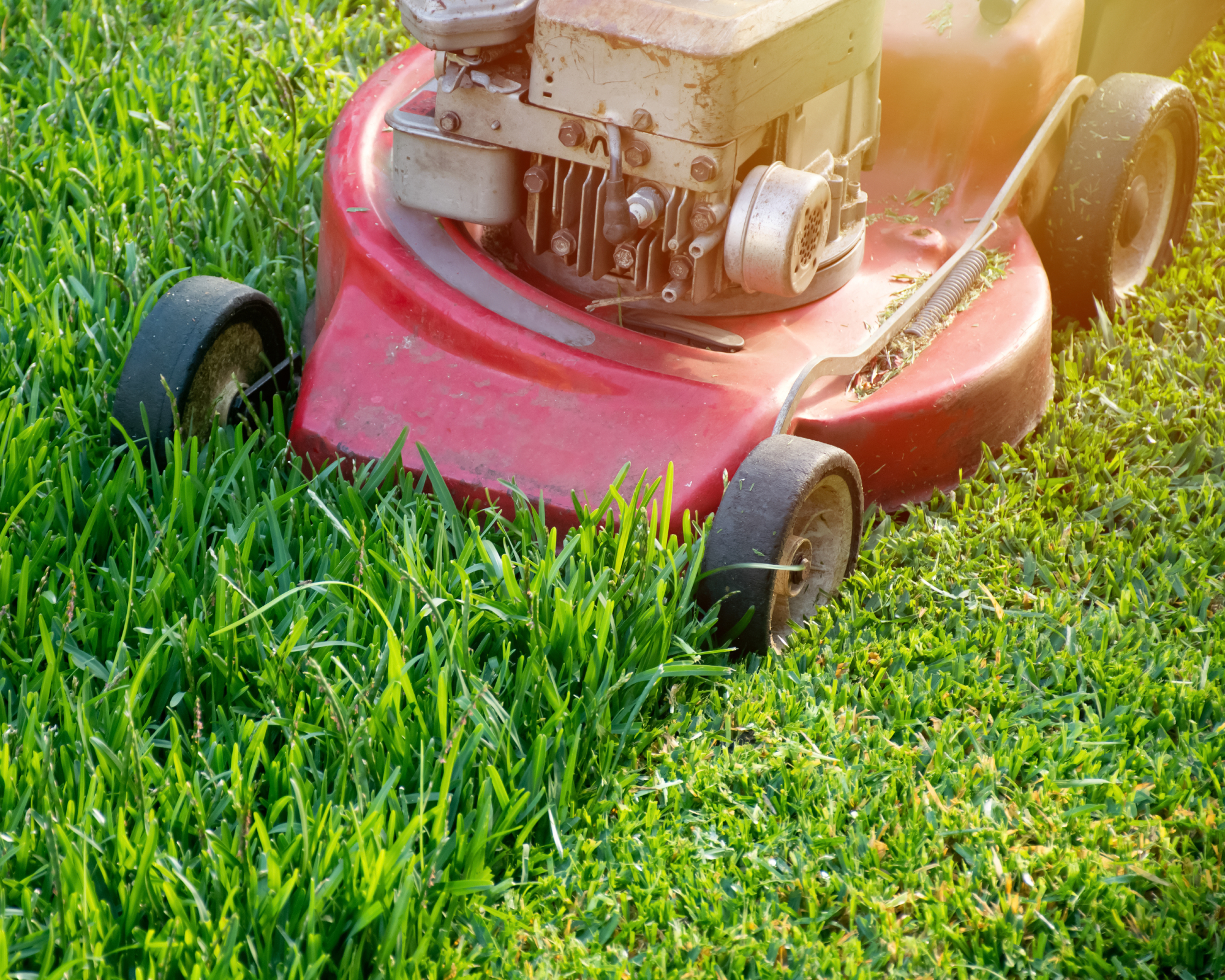 Closeup of lawn mower cutting grass