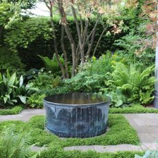 A black water tub feature at RHS Chelsea Flower Show