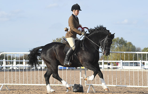 Heritage Show 13 10 2018