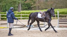Will Plunkett lunges a horse as part of the breaking in process.