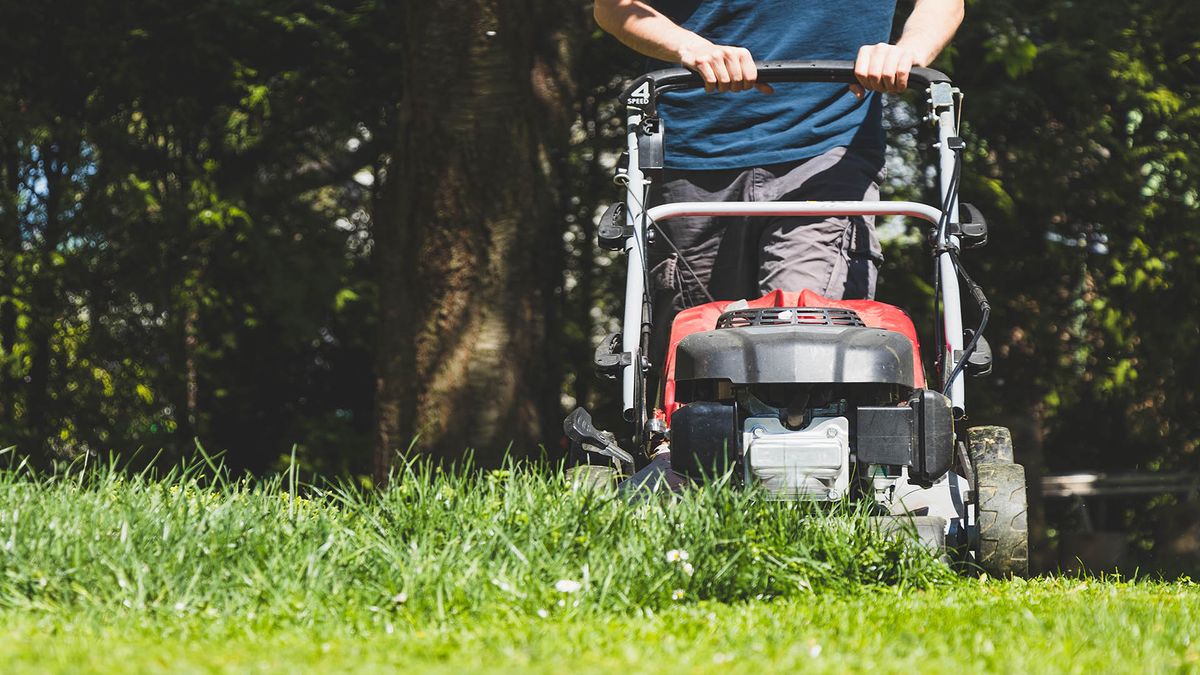 Push lawn mowers vs selfpropelled lawn mowers which is best? Top