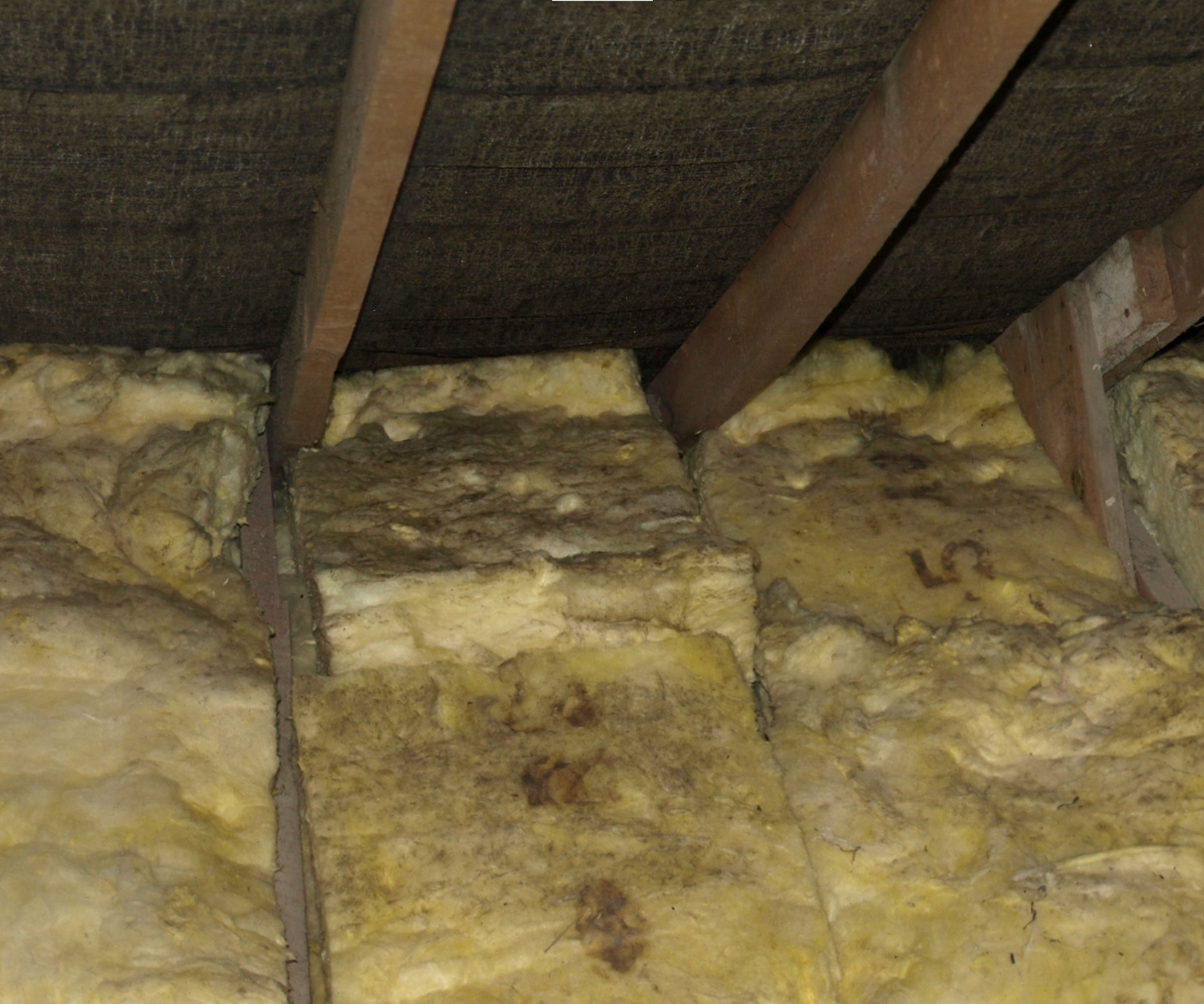 old dirty loft insulation
