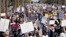 The No Kings protest