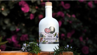Pink Marmalade Gin