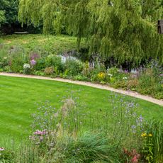 A garden with a green lawn and a pathway