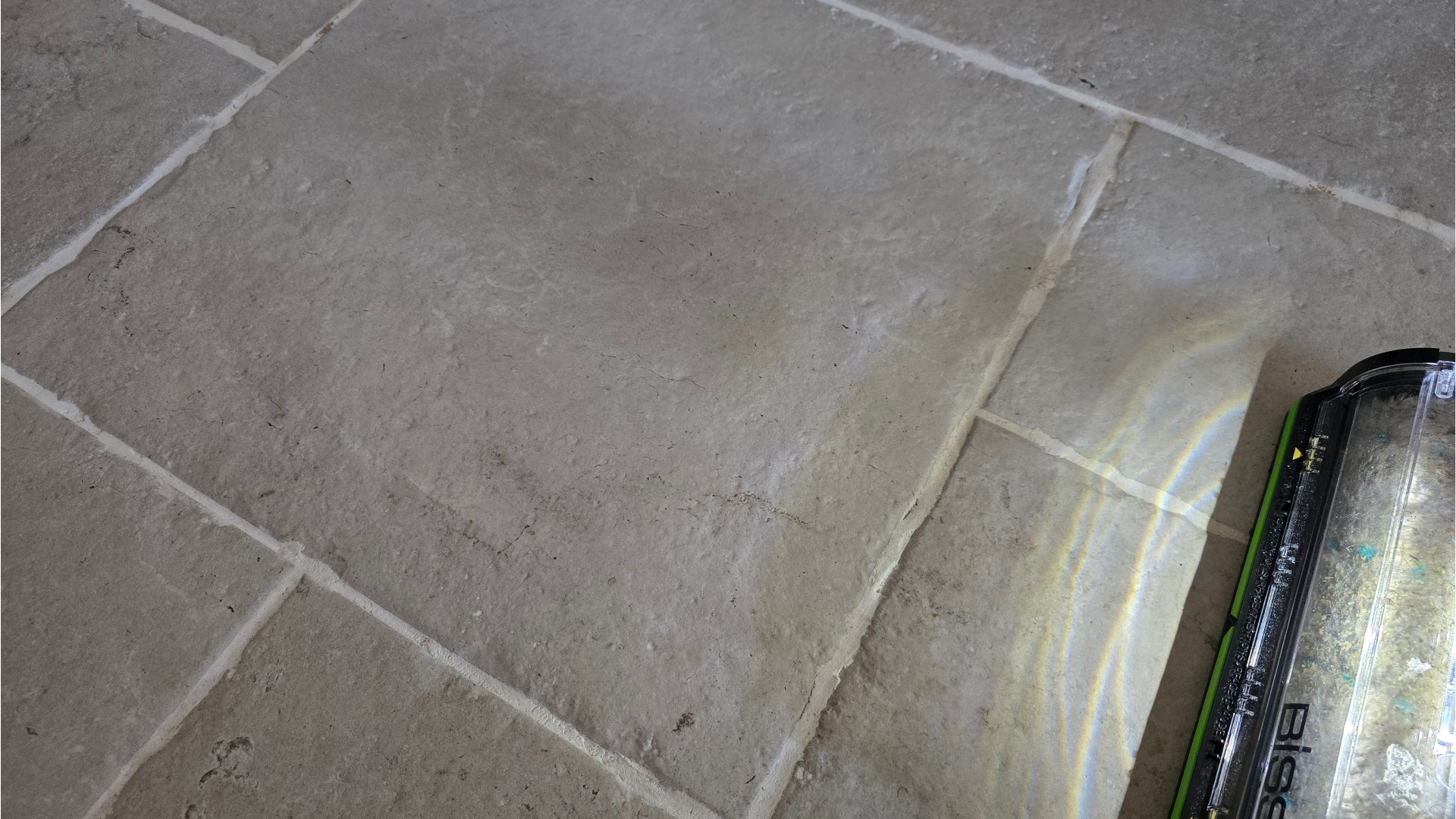 Bissell CrossWave HydroSteam Pet cleaning pesto stain