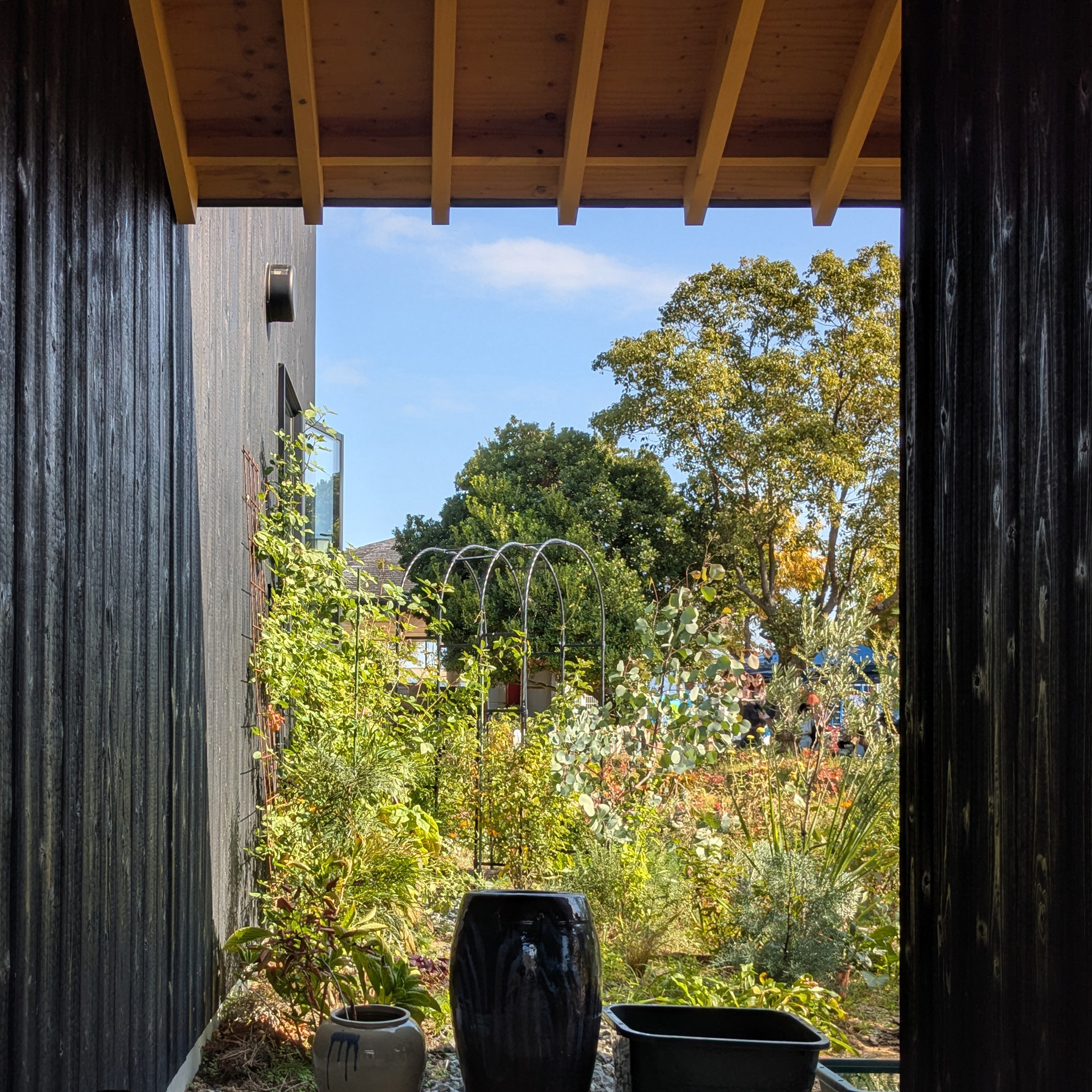 On a recent site visit the architects captured the garden in a more mature state