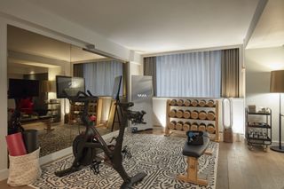 home gym designed in a living room style look