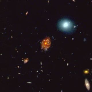 A zoomed out photo showing a very large orange galaxy next to other galaxies. There is a very large, bright blue galaxy nearby.