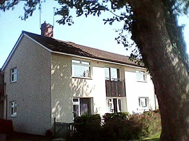 Low-res photo of a house overshadowed by a large tree
