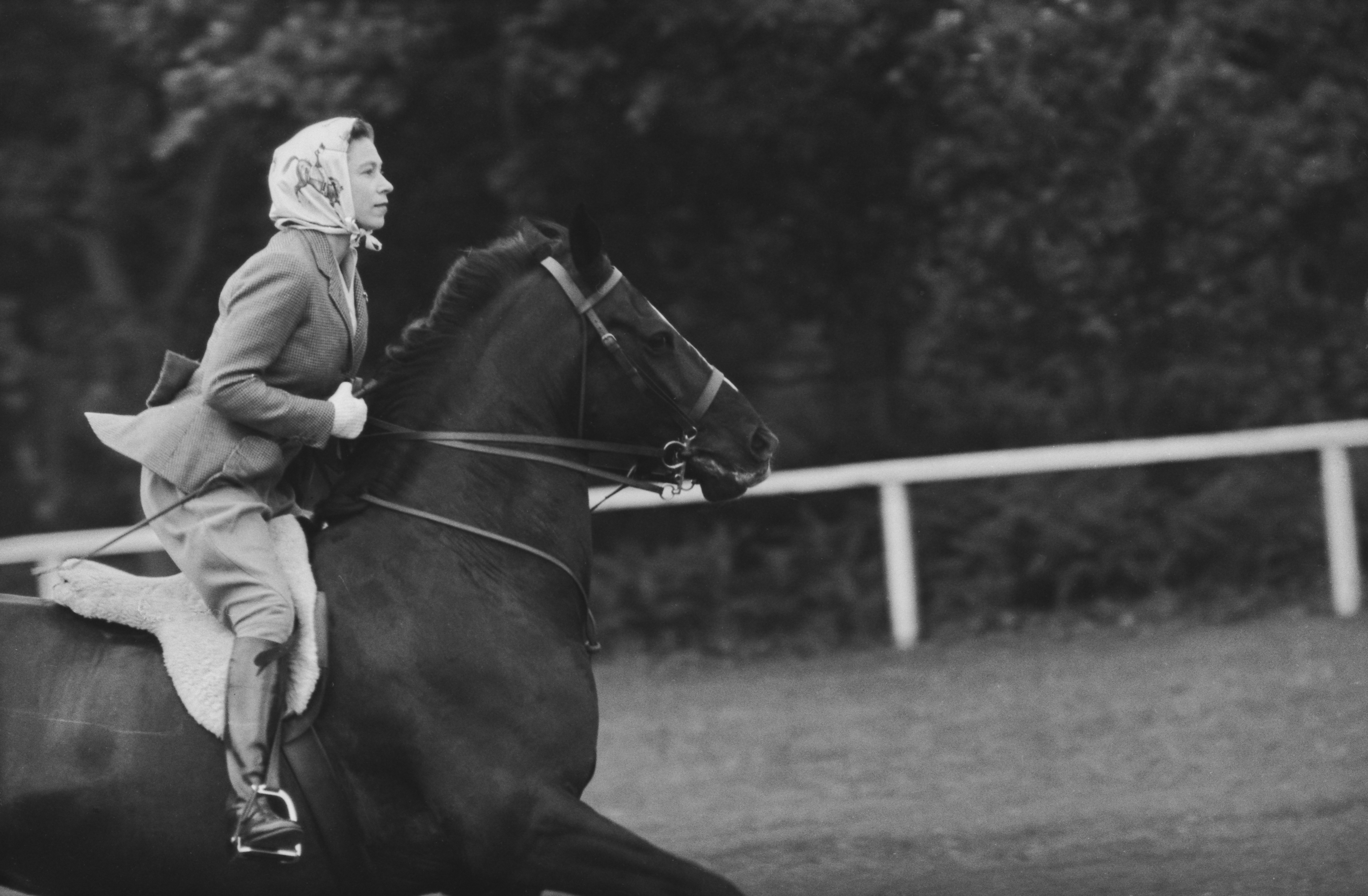 Elizabeth II in a headscarf and tweed blazer on a galloping horse