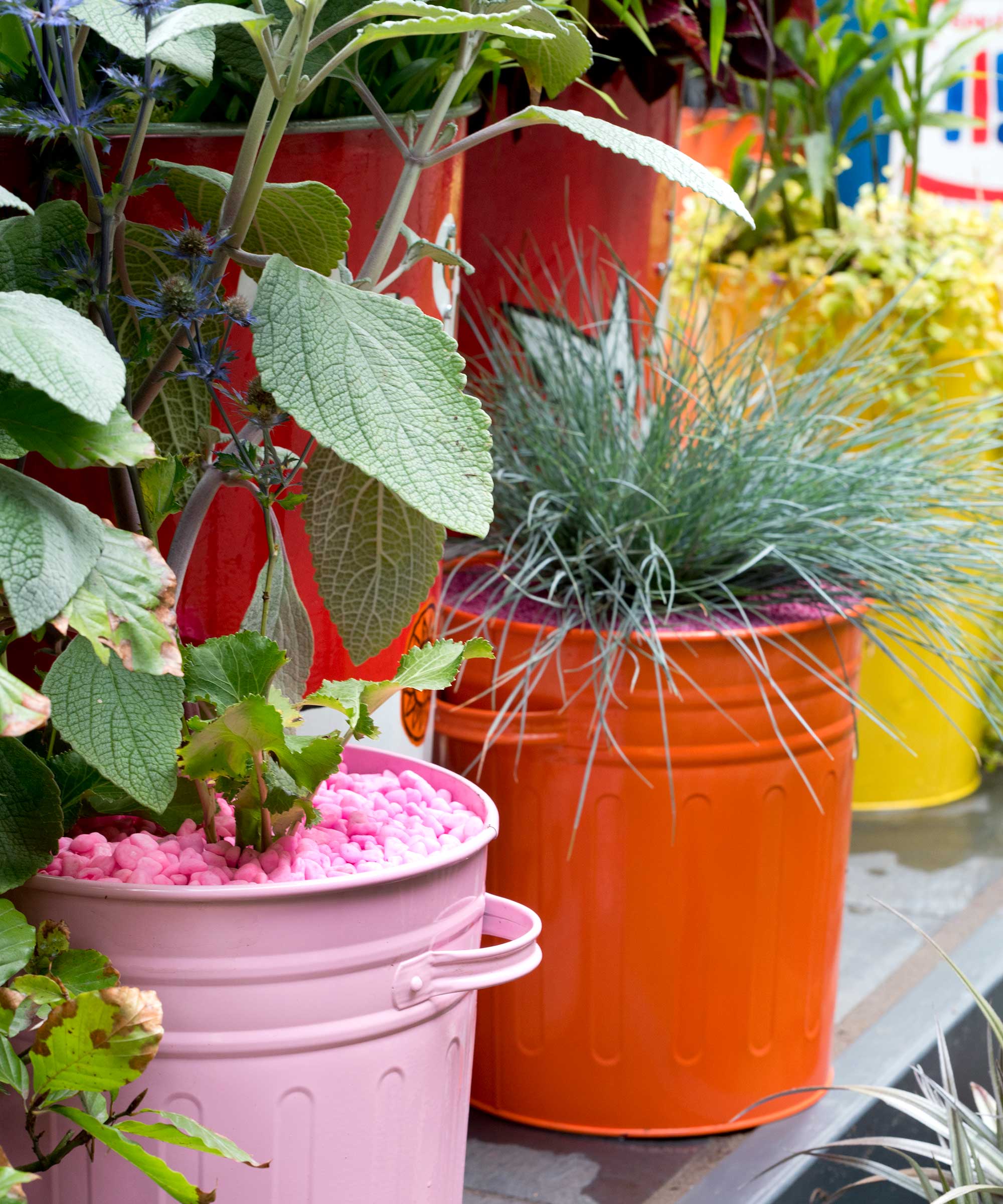 colorful gravel mulch in pots at the 'Pop Street Garden' by John McPherson at Chelsea flower show 2021
