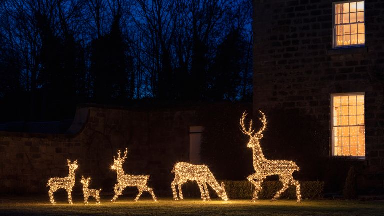 Pre-lit golden reindeer in a Christmas garden