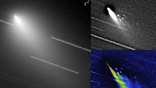 Three different views of the Comet 73P/Schwassmann-Wachmann 3 by astrophysicist Gianluca Masi, Bellatrix Observatory, Virtual Telescope Project.