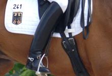 dressagenew2.jpg