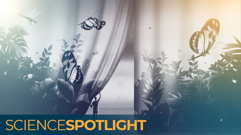 An illustration of a person pulling back a curtain full of colorful insects to reveal a deserted landscape