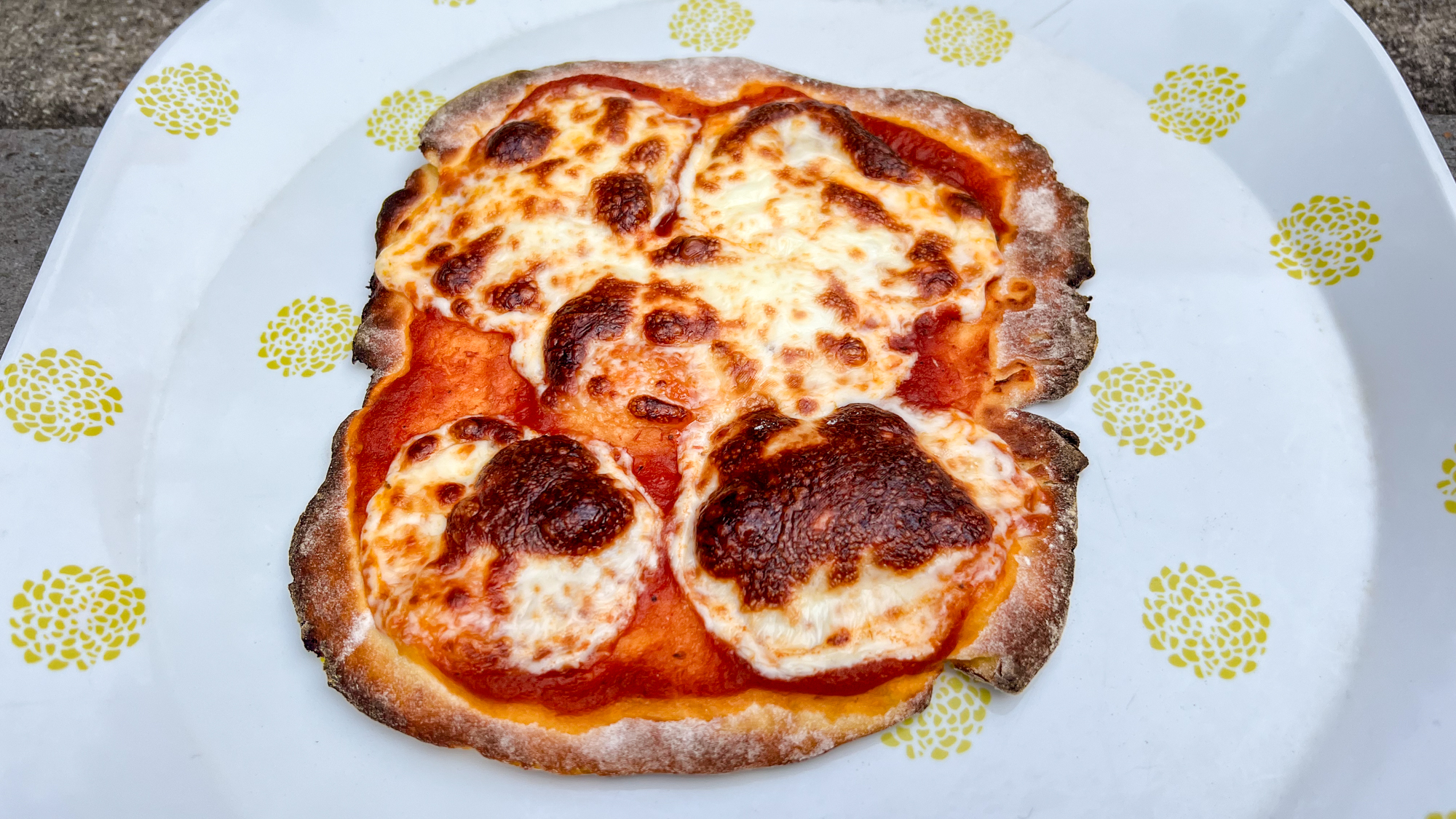 Ninja Artisan Outdoor Pizza Oven in a back yard