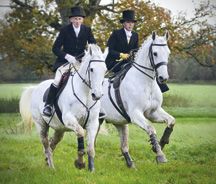 IMG_2874_side_saddle.jpg