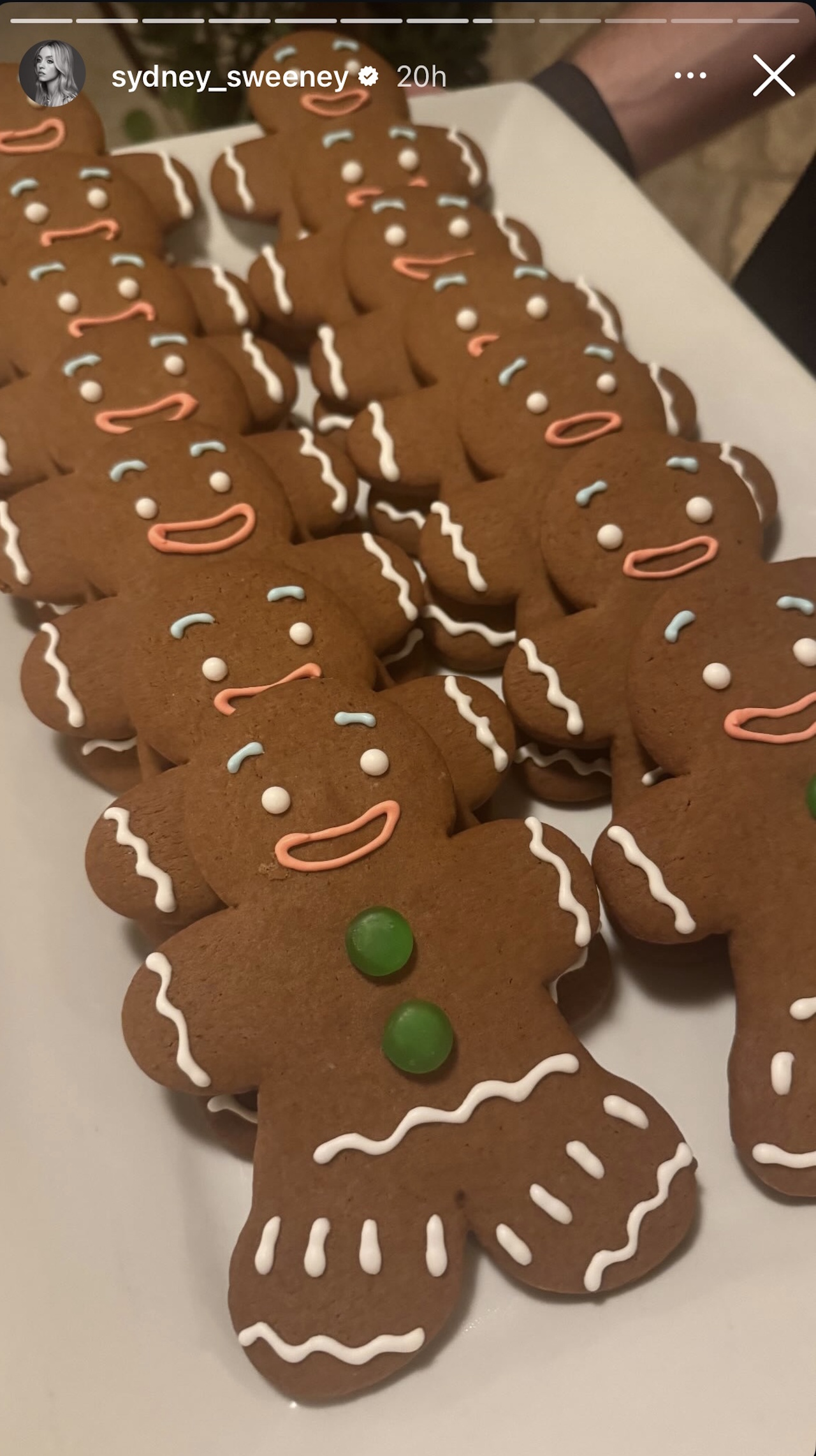 Gingerbread Man cookies are shown at Sydney Sweeney&#039;s Shrek-themed Friendsgiving party.