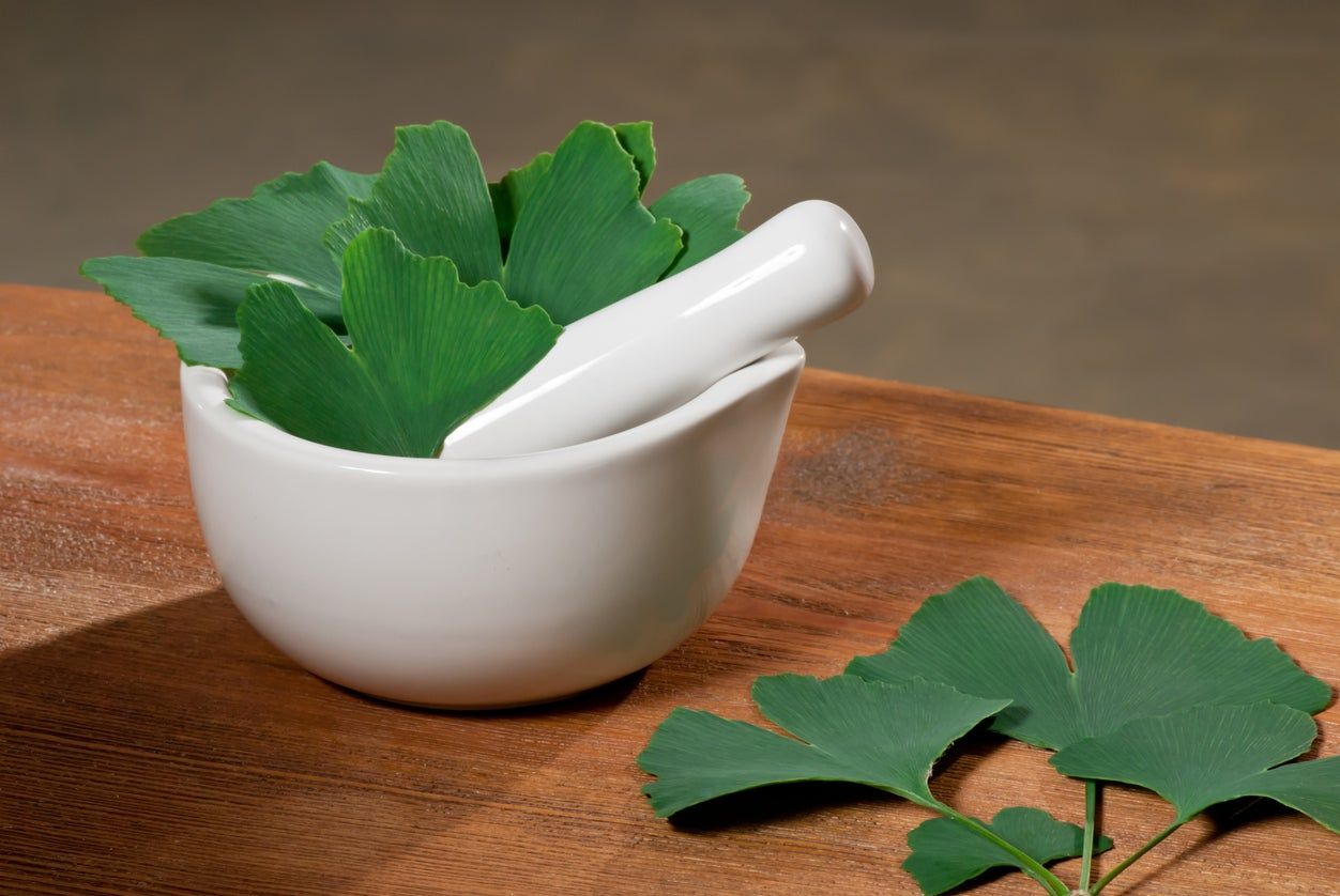 ginkgo leaves