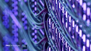server cables up close