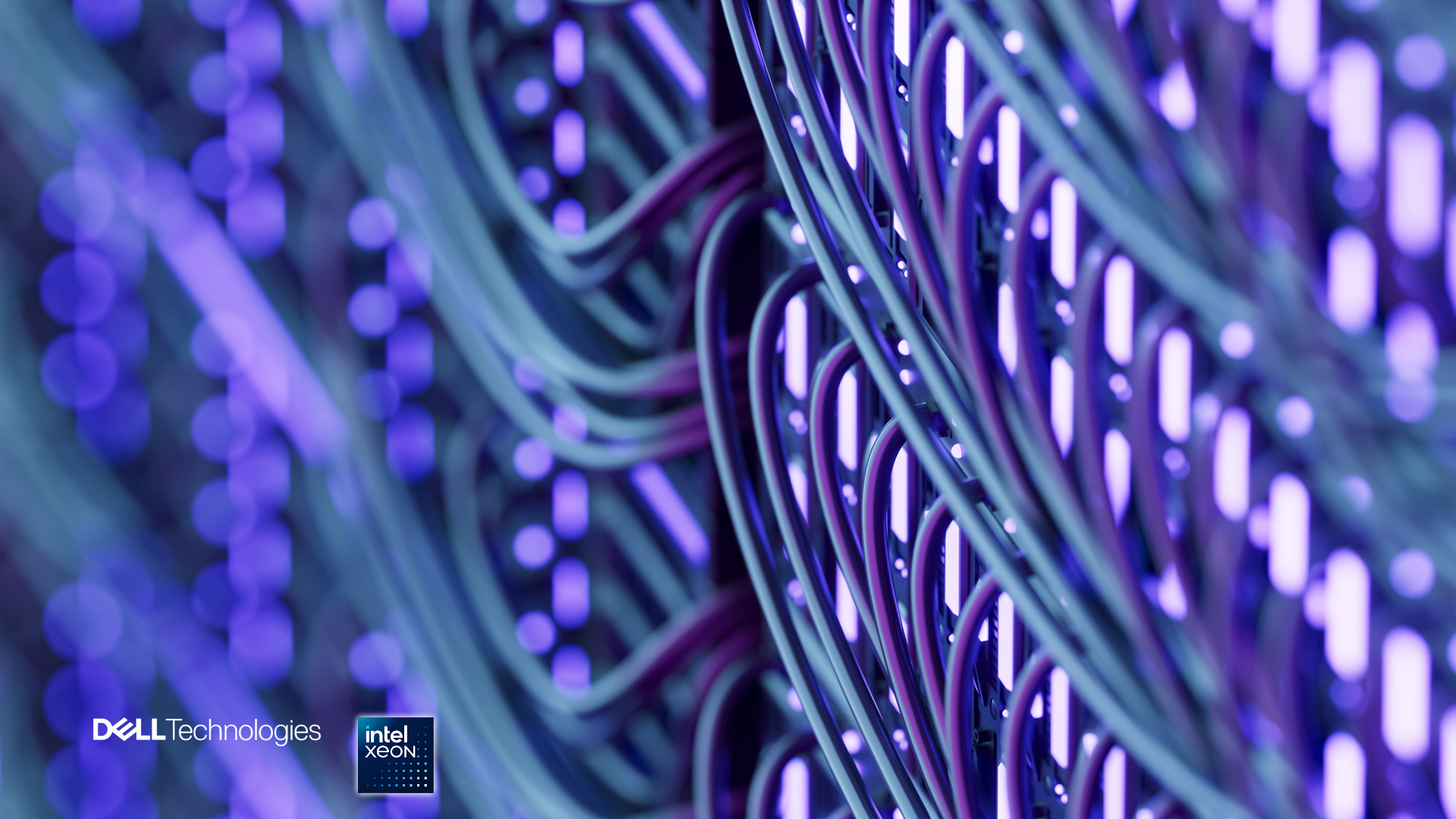 server cables up close