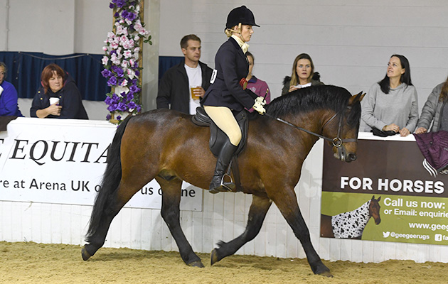 Heritage Show 13 10 2018