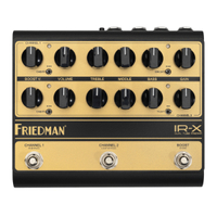 Friedman IR-X1 amp | No effects | 1-in | 3-outs