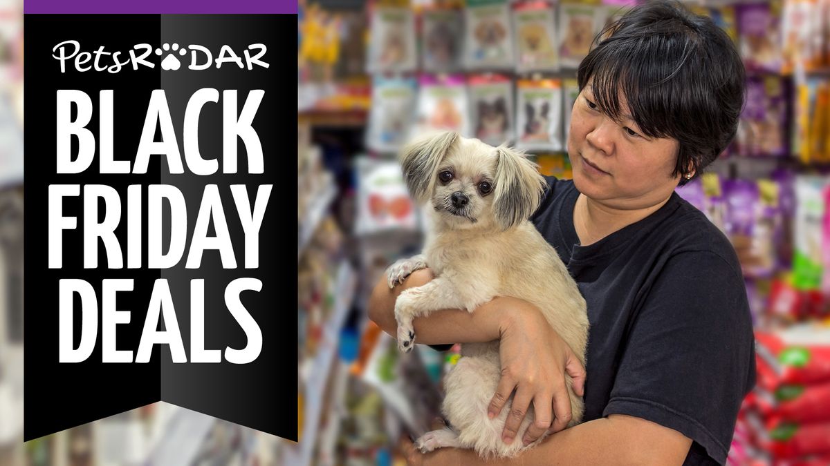 black friday puppy deals